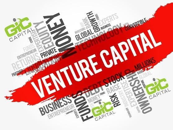 How do Venture Capital Trusts work?